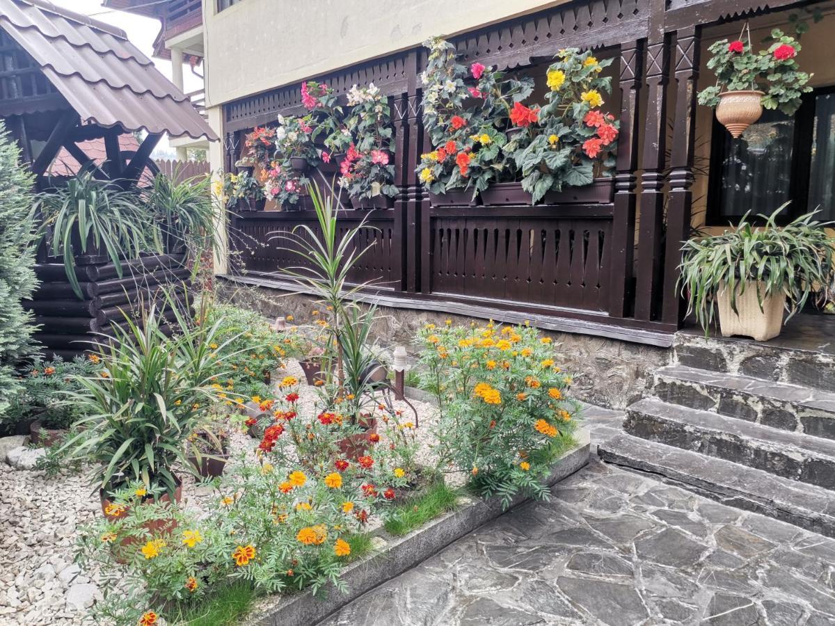Shelby Accommodation -Adult Only- Sinaia Exterior foto