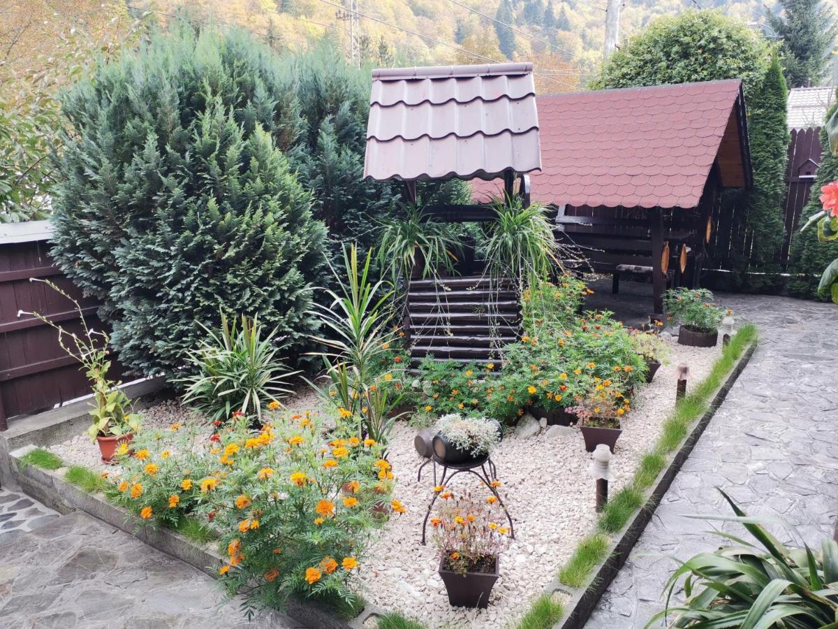 Shelby Accommodation -Adult Only- Sinaia Exterior foto