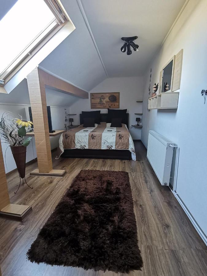 Shelby Accommodation -Adult Only- Sinaia Zimmer foto
